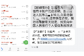 随县为什么选择专业追讨公司来处理您的债务纠纷？